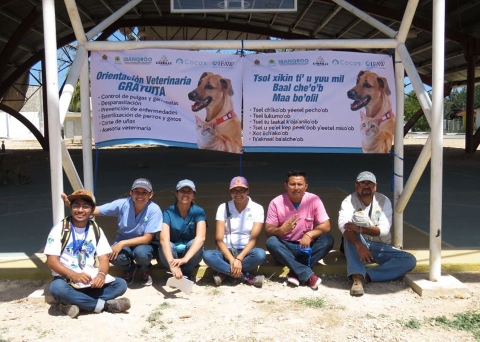 Apoyan bienestar animal en comunidad maya de Felipe Carrillo PuertoApoyan bienestar animal en comunidad maya de Felipe Carrillo Puerto