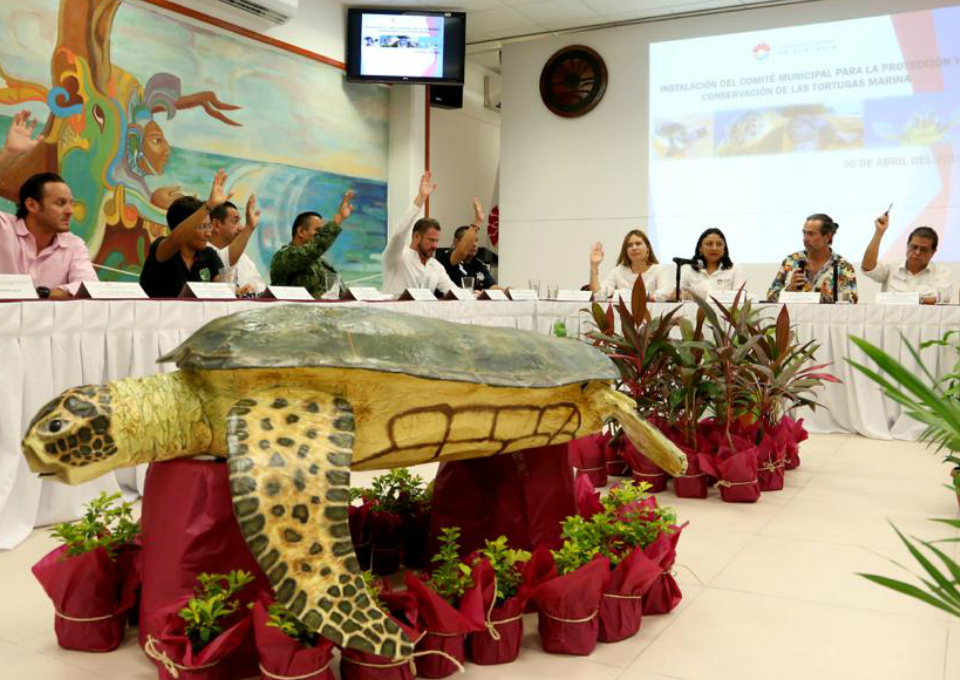 Se llevó a cabo la instalación del Comité Municipal para la Protección de las Tortugas Marinas en el Salón Presidentes del Palacio Municipal de Benito Juárez.