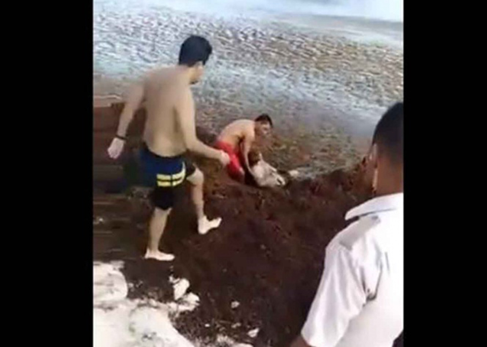 Rescatan a turista que casi muere ahogada en sargazo