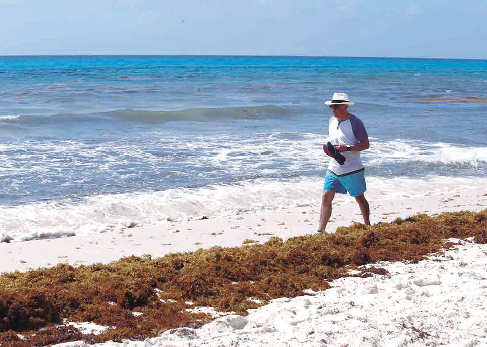 Anticipan un verano “difícil” por los recales “masivos” de sargazo