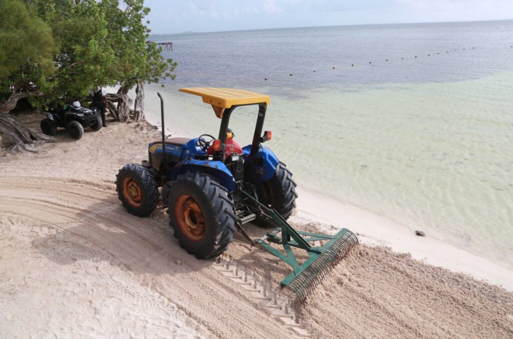 Activan operativo especial para enfrentar recale de sargazo en Cancún 