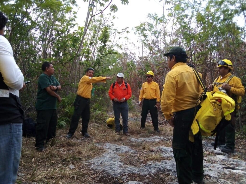 Atienden dos incendios forestales en Quintana Roo