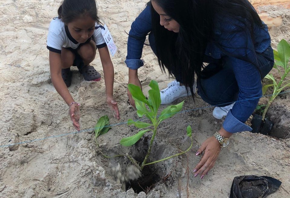 Reforestan camellón en Playa Centro de Isla Mujeres