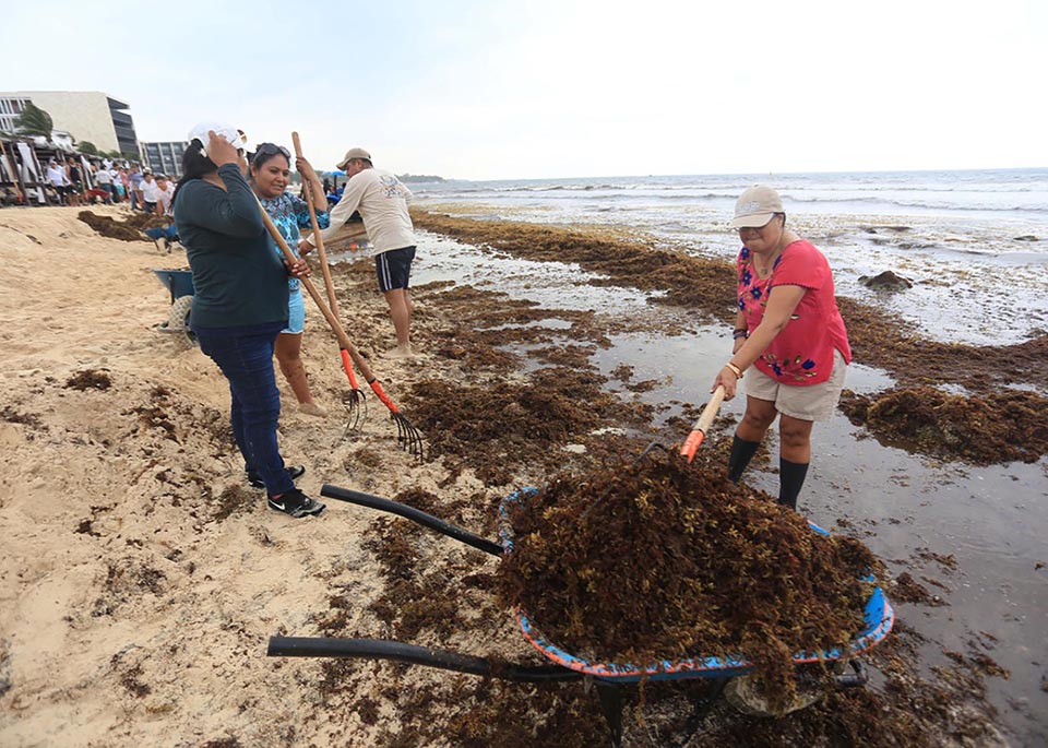 La pérdida de playas ya es grave en Playa del Carmen