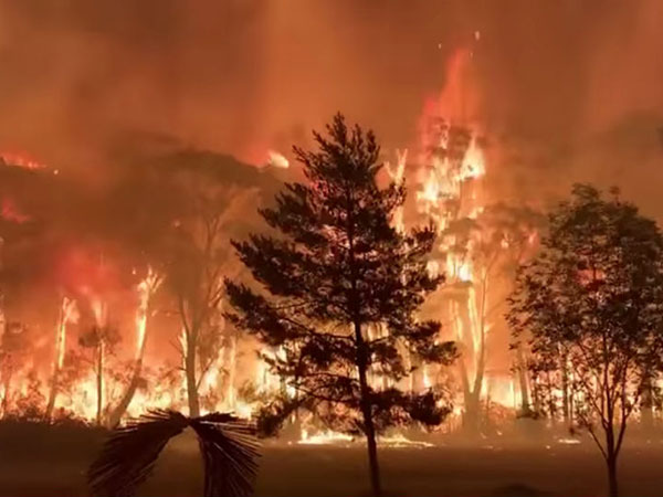 Incontenibles los incendios forestales en Australia