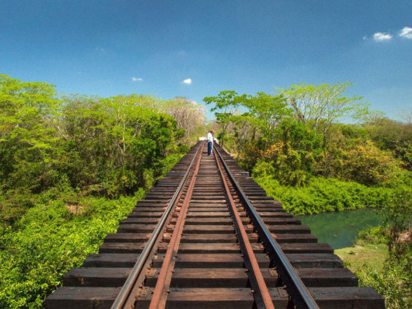 Costará 2.9 mdp diseño de estación del Tren Maya en Playa del Carmen