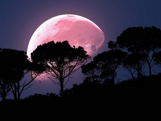 ¿Cómo ver la superluna rosa de este lunes? Te contamos