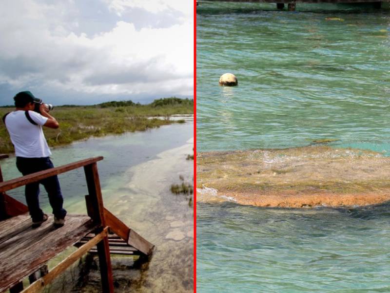 Campaña de protección a los estromatolitos en Bacalar