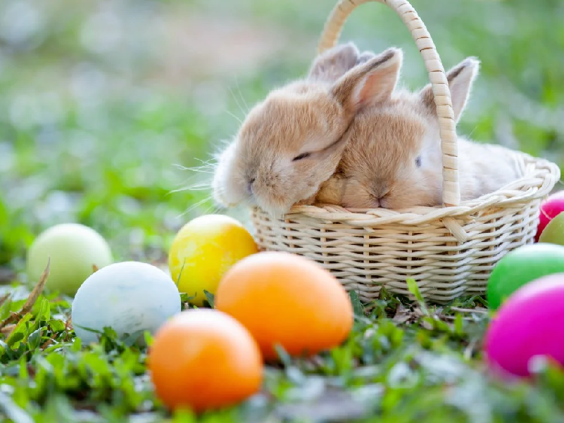 ¿Cuál es el origen de los Huevos de Pascua?