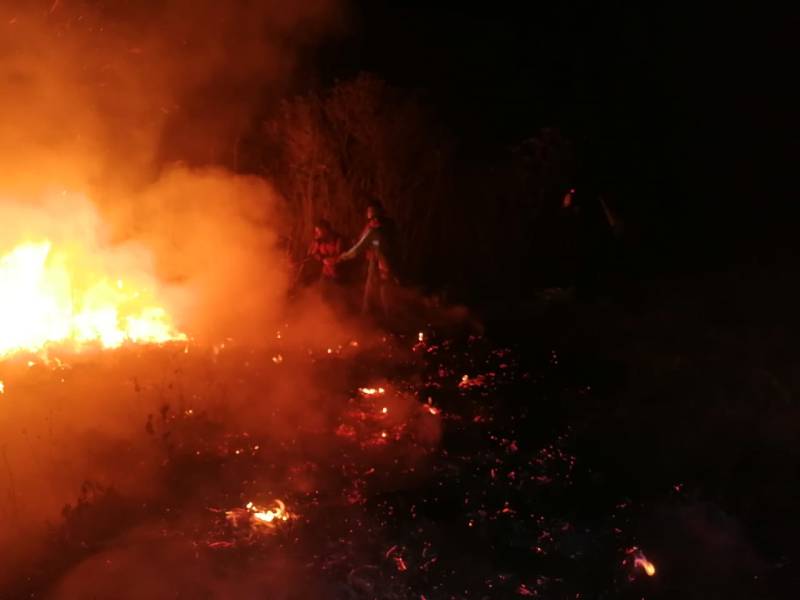 Dos mil hectáreas afectadas por incendios Forestales en Chiapas;