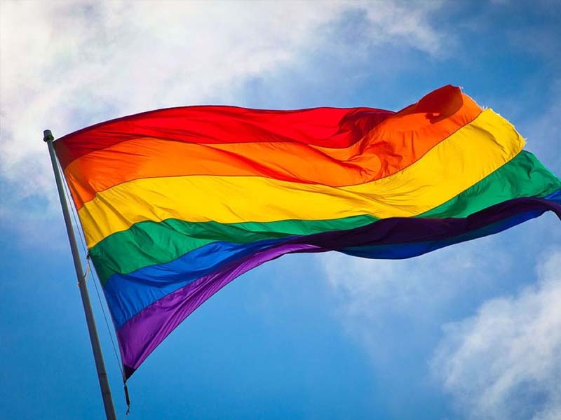 Comunidad LGBTTTIQ va por 12 diputaciones