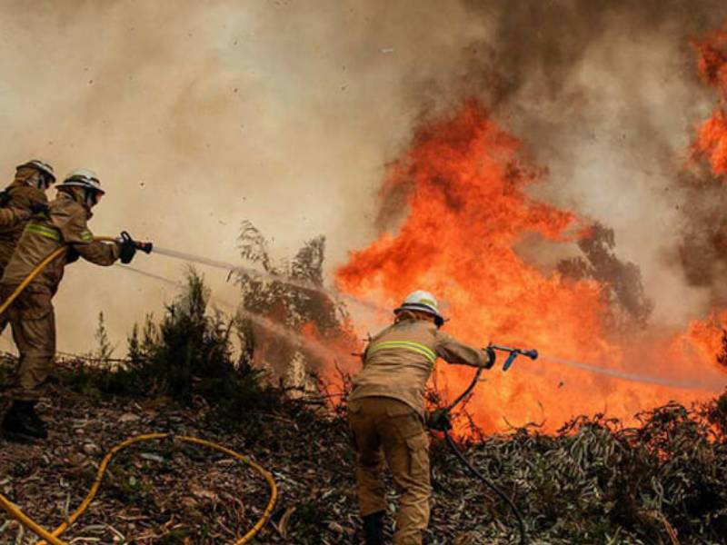 Hay 41 incendios forestales activos en 10 estados de México