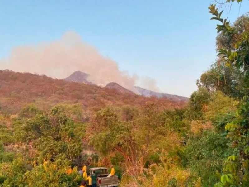 Conafor y 500 voluntarios combaten incendio en Cerro Grande, Michoacán