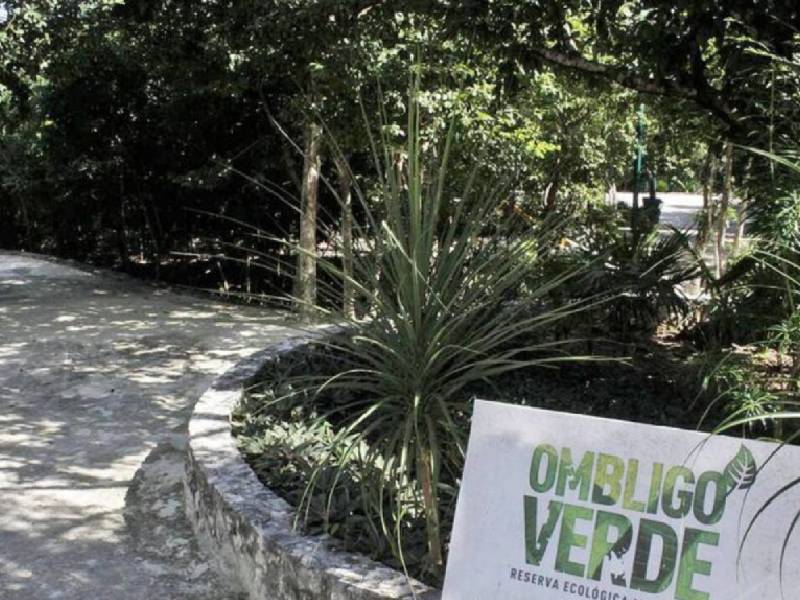 Planea Sedatu levantar dos palapas en Ombligo Verde