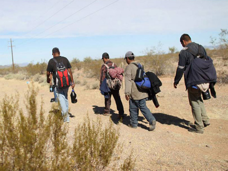 Han muerto 420 migrantes oaxaqueños