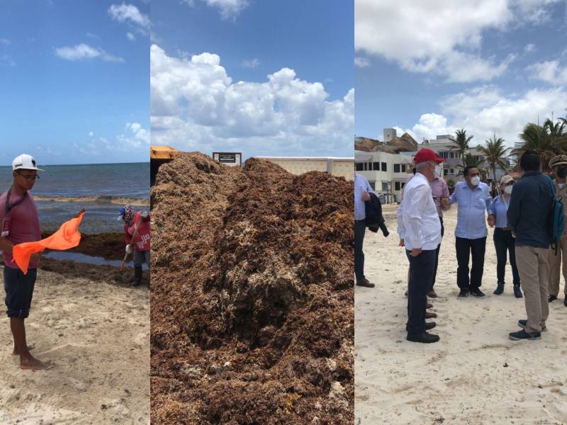 Participa Quintana Roo en manual para Recolección y manejo de Sargazo