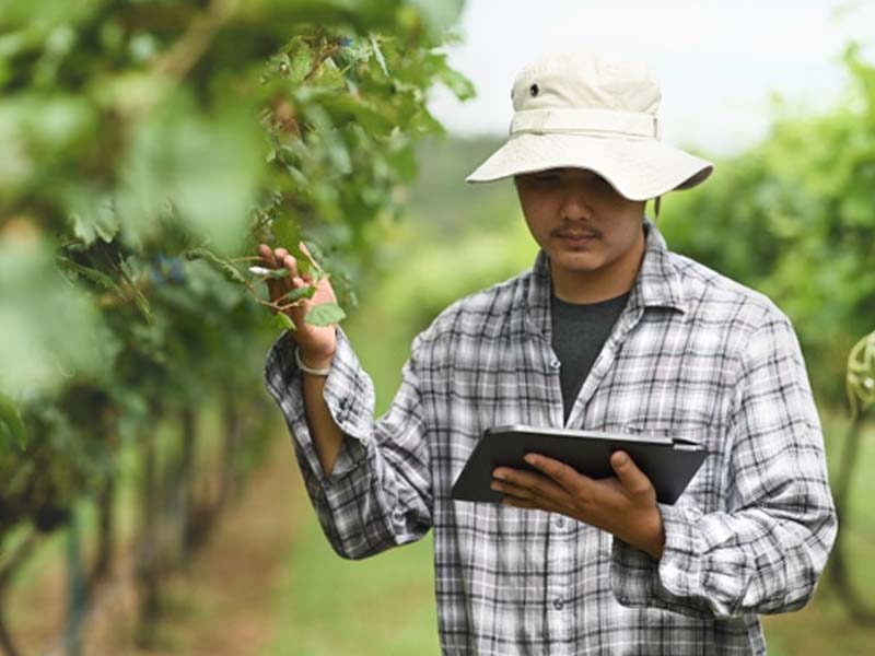 Sader lanza micrositio web para agricultores