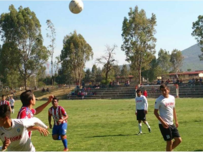 torneos deportivos