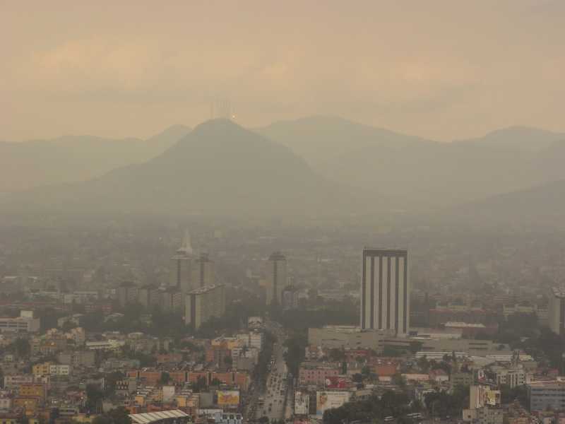 Causantes del hongo negro, en el aire de la Ciudad de México