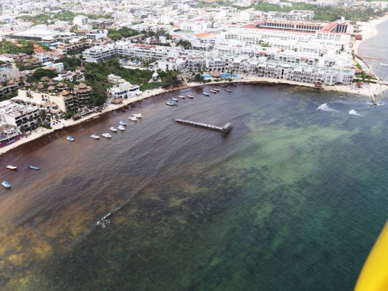 Previenen mayor presencia de sargazo a segunda mitad de verano