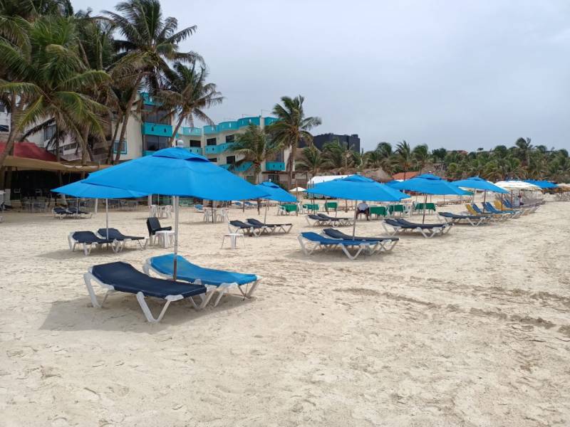 Sargazo deja sin trabajo a rentadores de camastros en Playa del Carmen