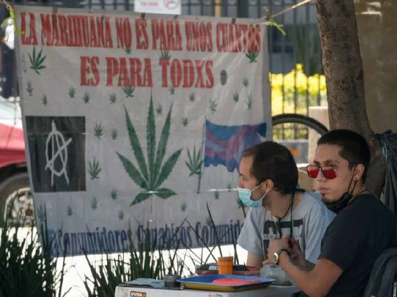 Casos de éxito de Cannabis medicinal lo guían en el mercado mexicano