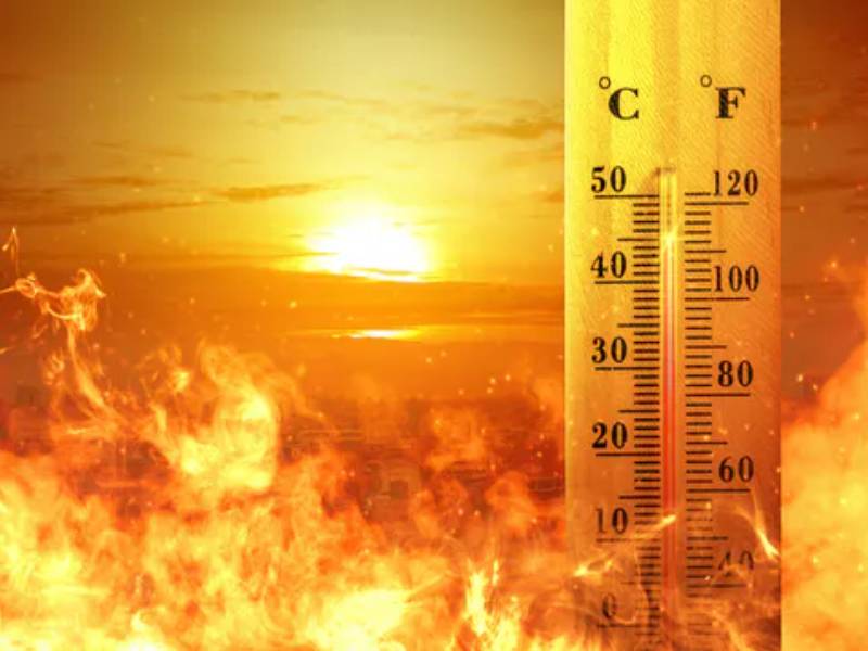 Julio fue el mes más caluroso registrado en el planeta