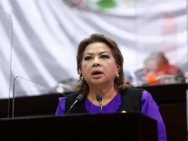 Recursos de partidos deben ser fiscalizados: Guadalupe Almaguer