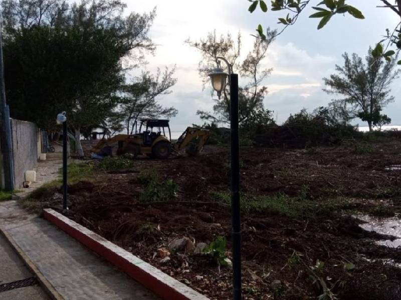 Ecocidio en Isla Mujeres: Talan más de 1000 metros cuadrados de mangle