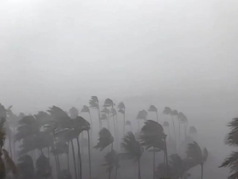 Estos son los daños provocados por el huracán Nora a su paso por el Pacífico Mexicano