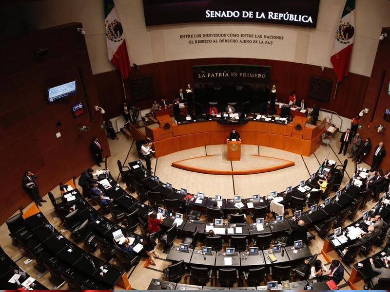 senado de la republlca