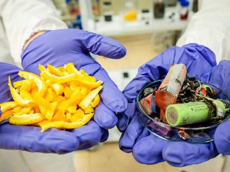 Desarrollan método para convertir desperdicios de comida en baterías