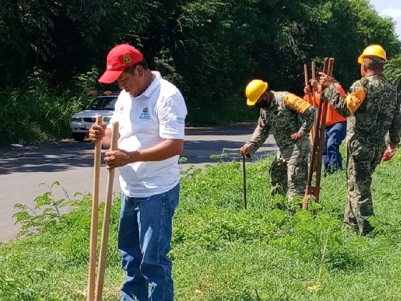 Autoridad estatal realiza jornada de limpieza y reforestación en Chetumal