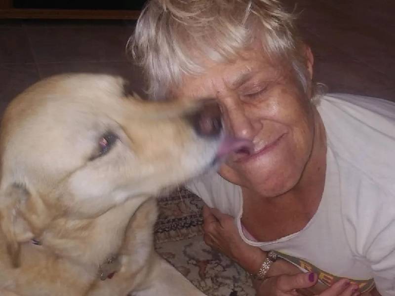 Mujer salva a su perro