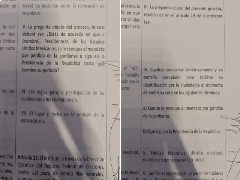 REVOCACION DEL MANDATO