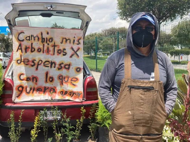 "Tenemos que llevar comida a casa": Vendedor intercambia arbolitos por despensa