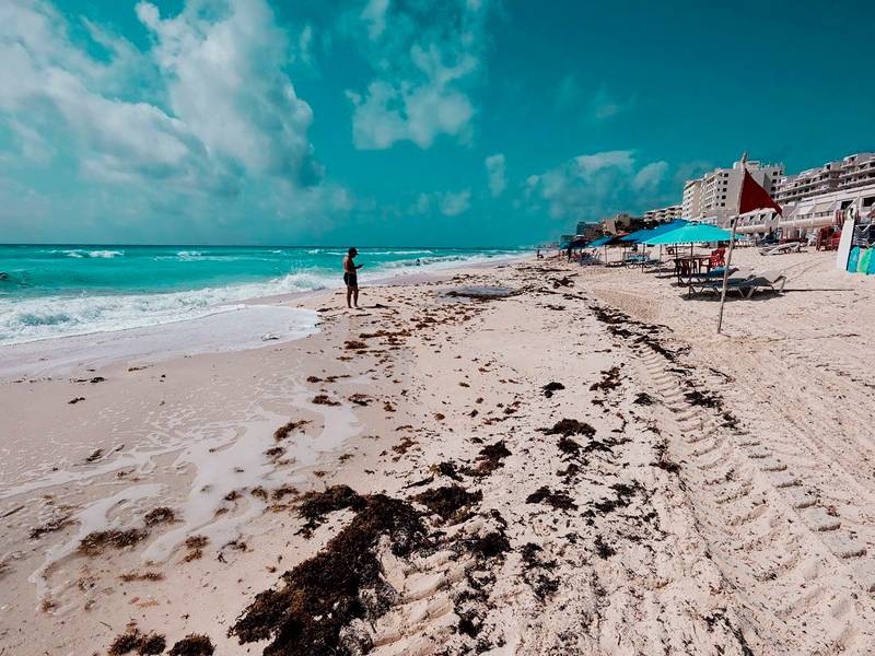 Disminuirá presencia de sargazo en playas del Caribe Mexicano