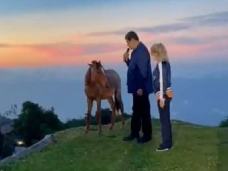 VIDEO. ¡Vamos adelante!: Nicolás Maduro platica con caballo y desata burla en redes sociales