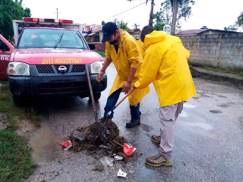 Cultura de manejo de basura