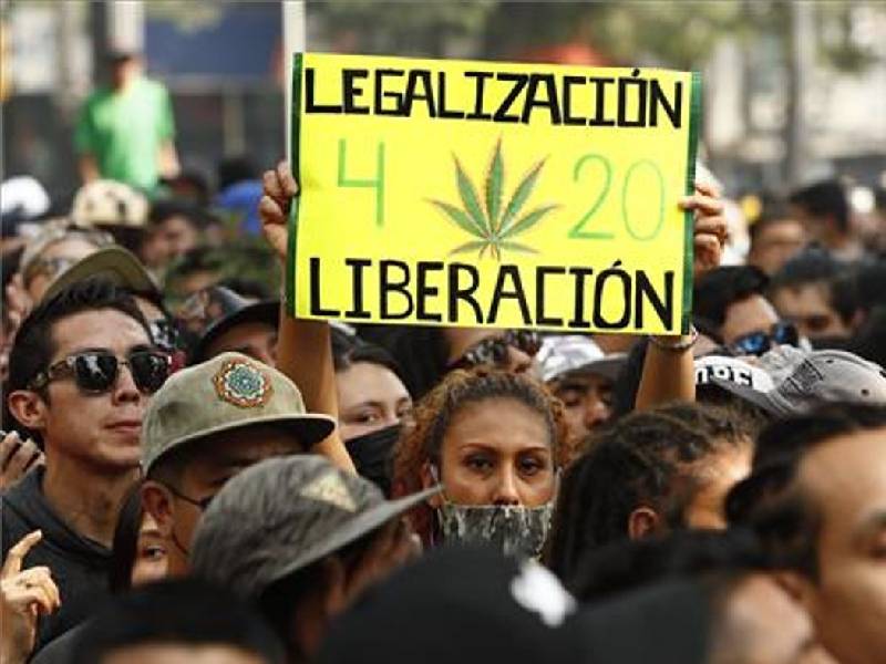 Legalización de cannabis incrementa su uso, pero no el abuso