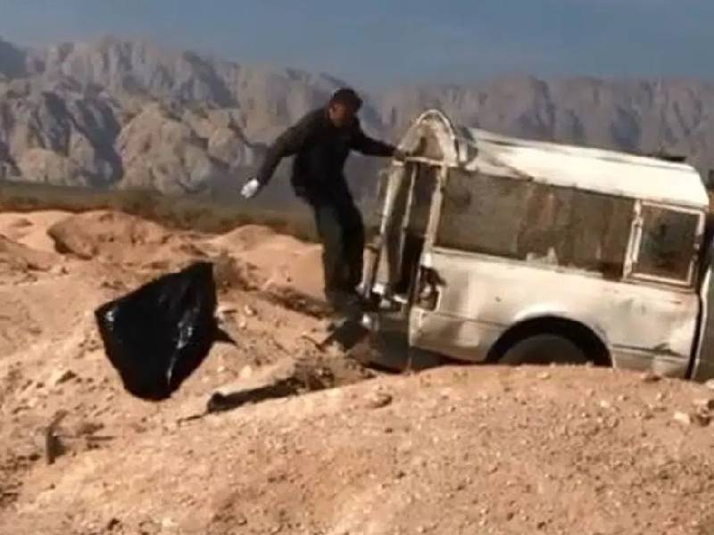 Video. Tiran perros muertos a fosas