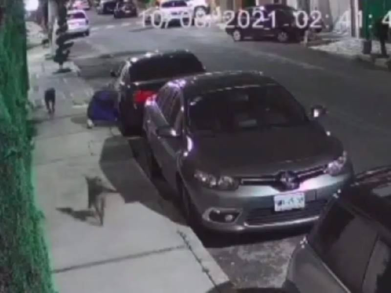 Video: Acompañado de perros, hombre roba autopartes en GAM