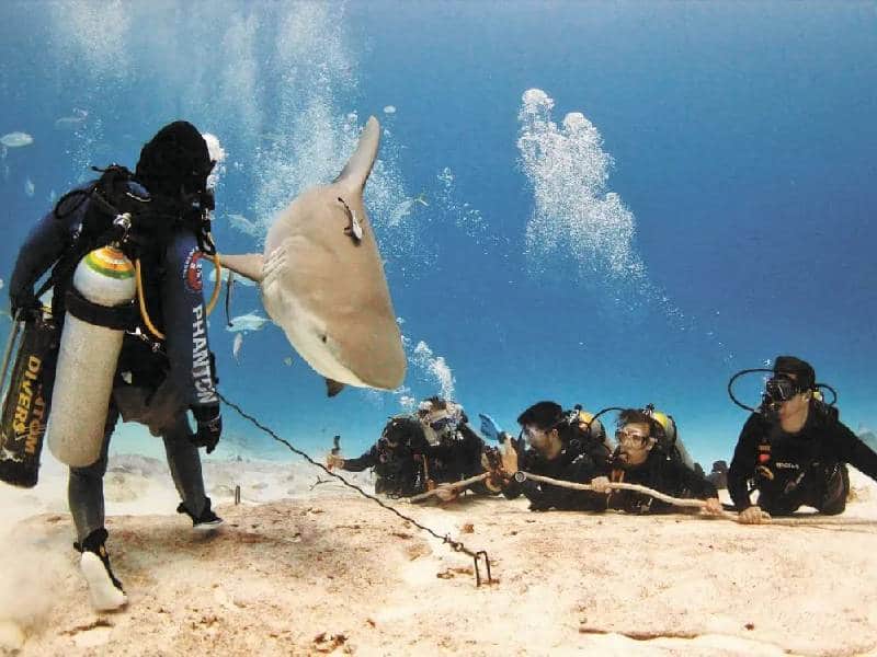 laboratorio de investigación de tiburones