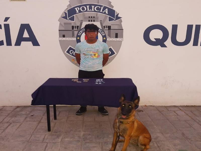 Unidad Canina de la Policía Quintana Roo detiene en Playa del Carmen a sujeto con drogas