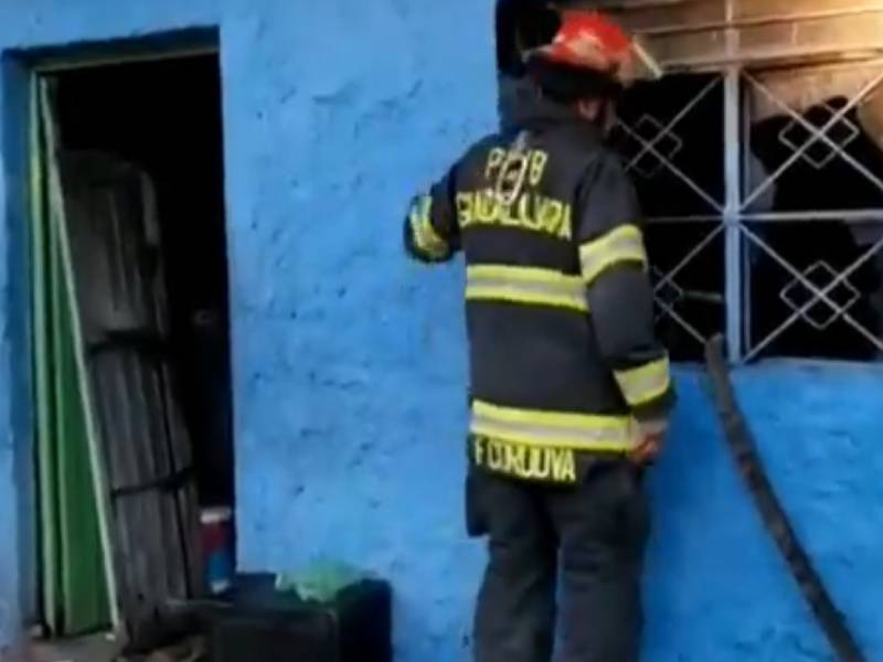 Video: Perrita muere en un incendio de una vivienda