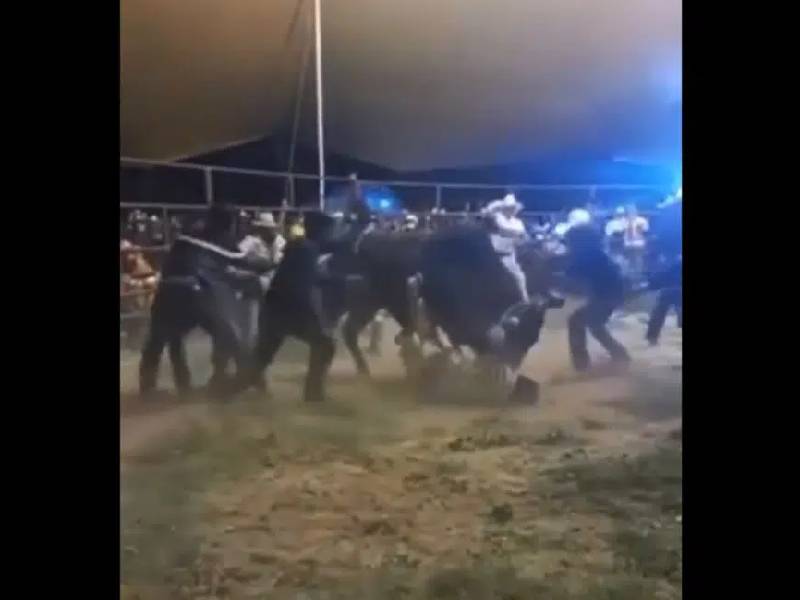 Video: Jinete de jaripeo resbala de toro y muere aplastado
