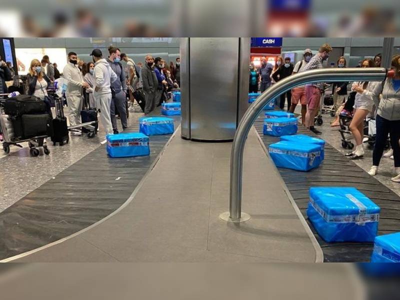 Pasajeros esperan equipaje, ¡reciben cajas de pescado congelado!