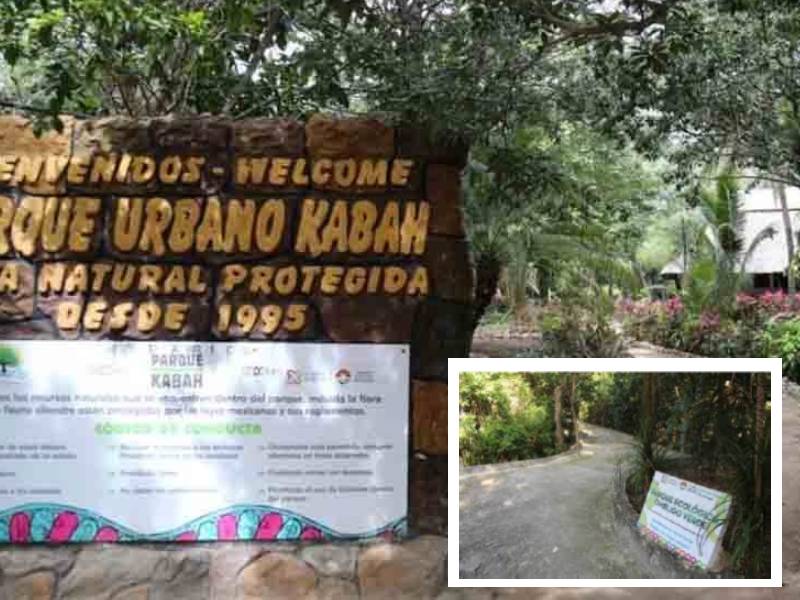 Reanudan actividades en Ombligo Verde y Parque Kabah
