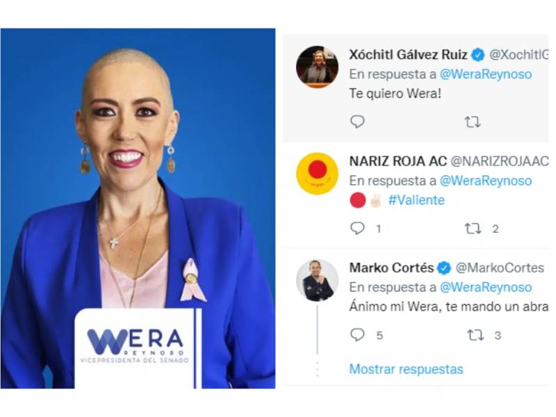 Senadora Alejandra Reynoso regresa al Senado tras ser diagnosticada con cáncer