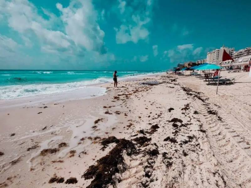 El sargazo disminuye el 35% en el Mar Caribe